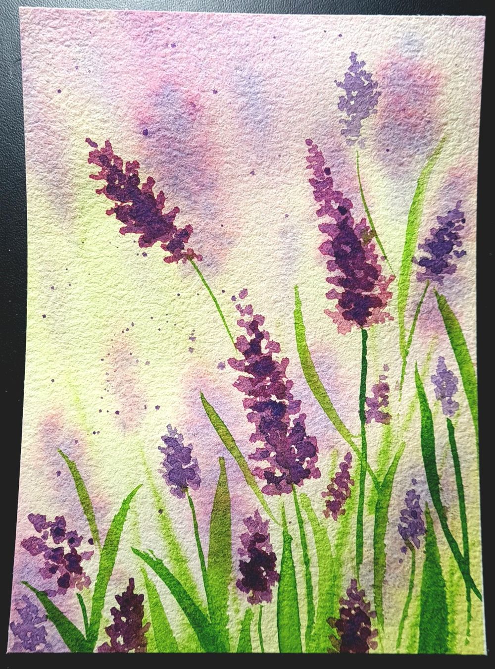 Soft Meadows - image 2 - student project