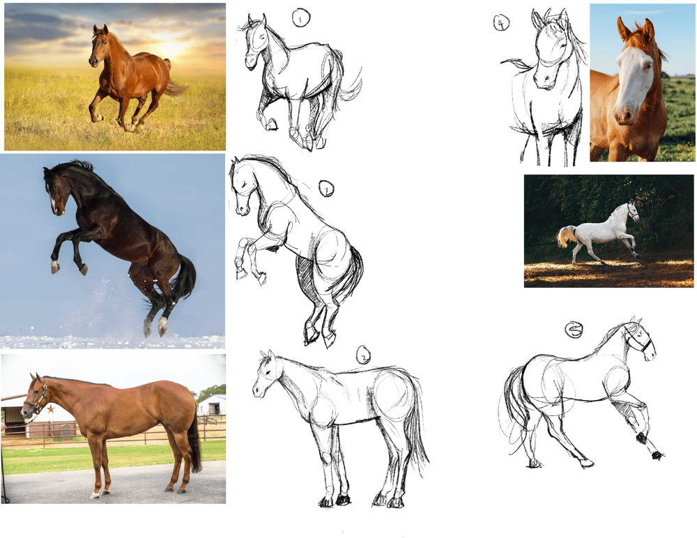 Character Design: Animals - image 6 - student project