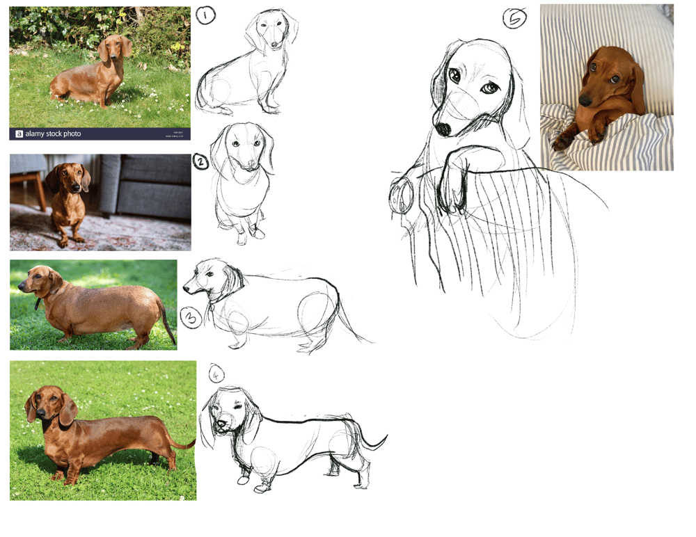 Character Design: Animals - image 3 - student project