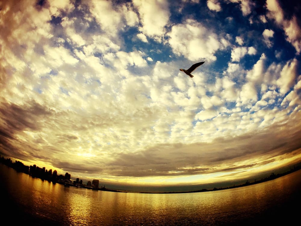 iPhone Landscape Photos - image 10 - student project