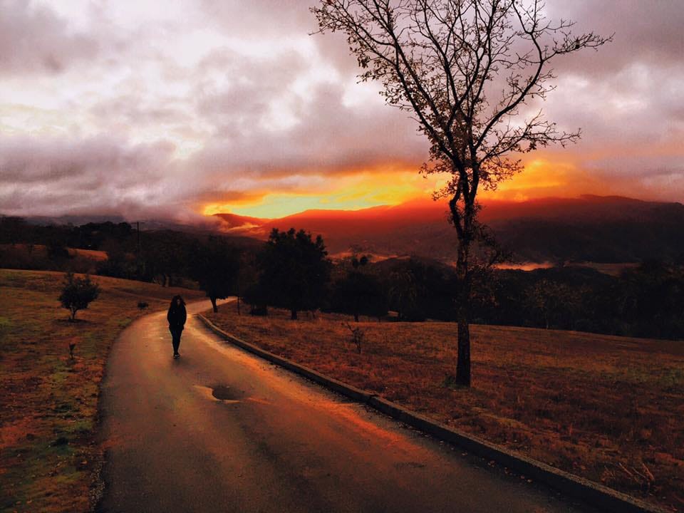 iPhone Landscape Photos - image 7 - student project