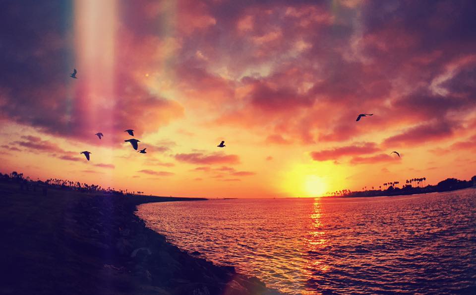 iPhone Landscape Photos - image 9 - student project