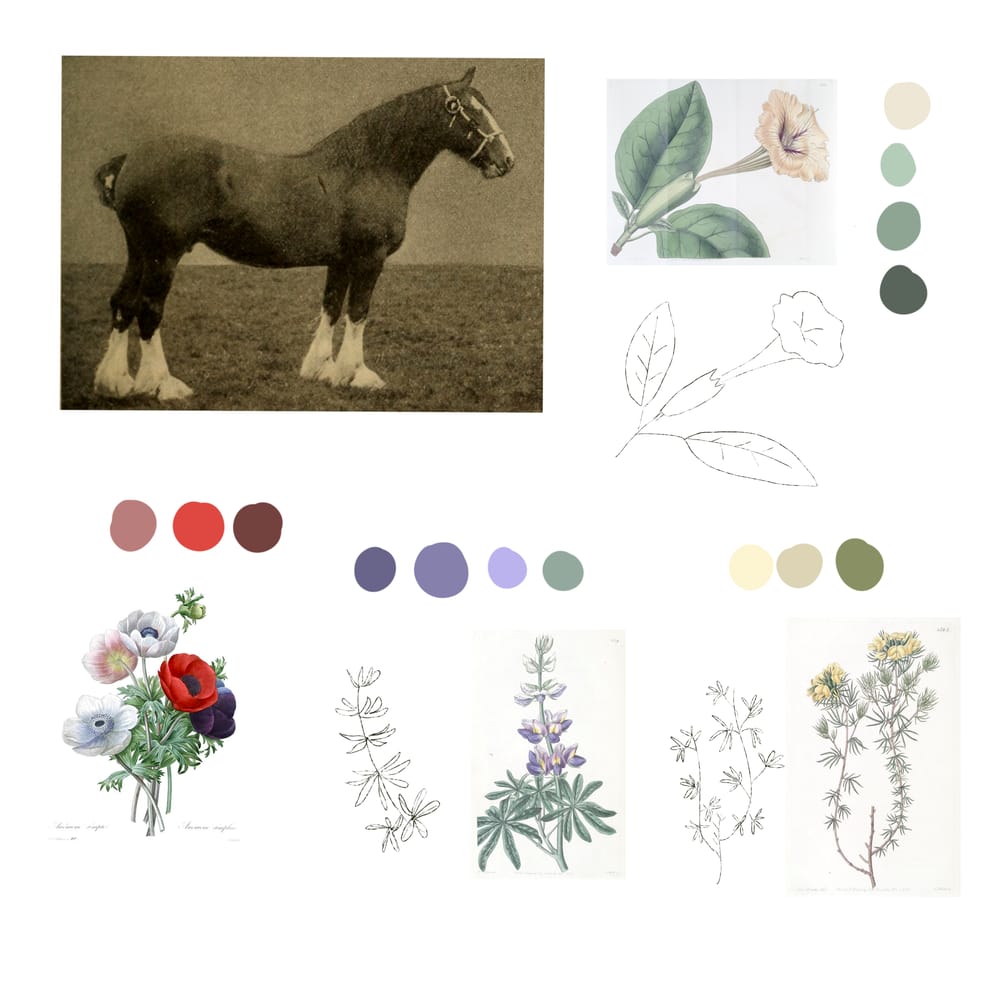 Two Old Friends in Autumn - image 1 - student project