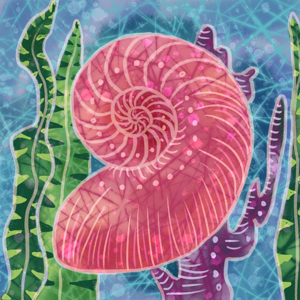 Shell | Skillshare Student Project