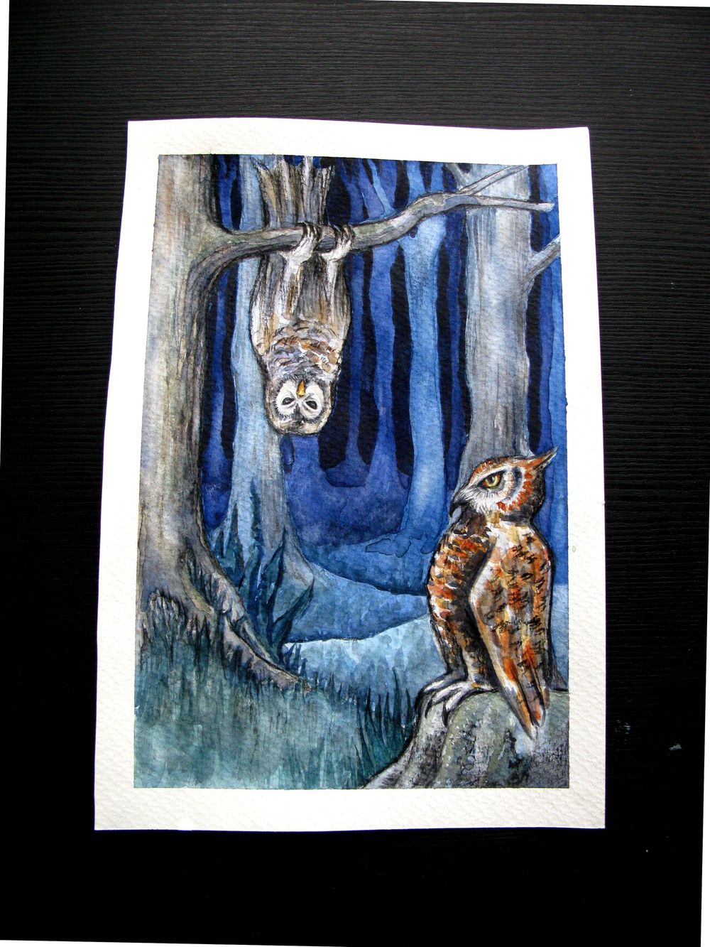 Guardians of the forest - image 1 - student project