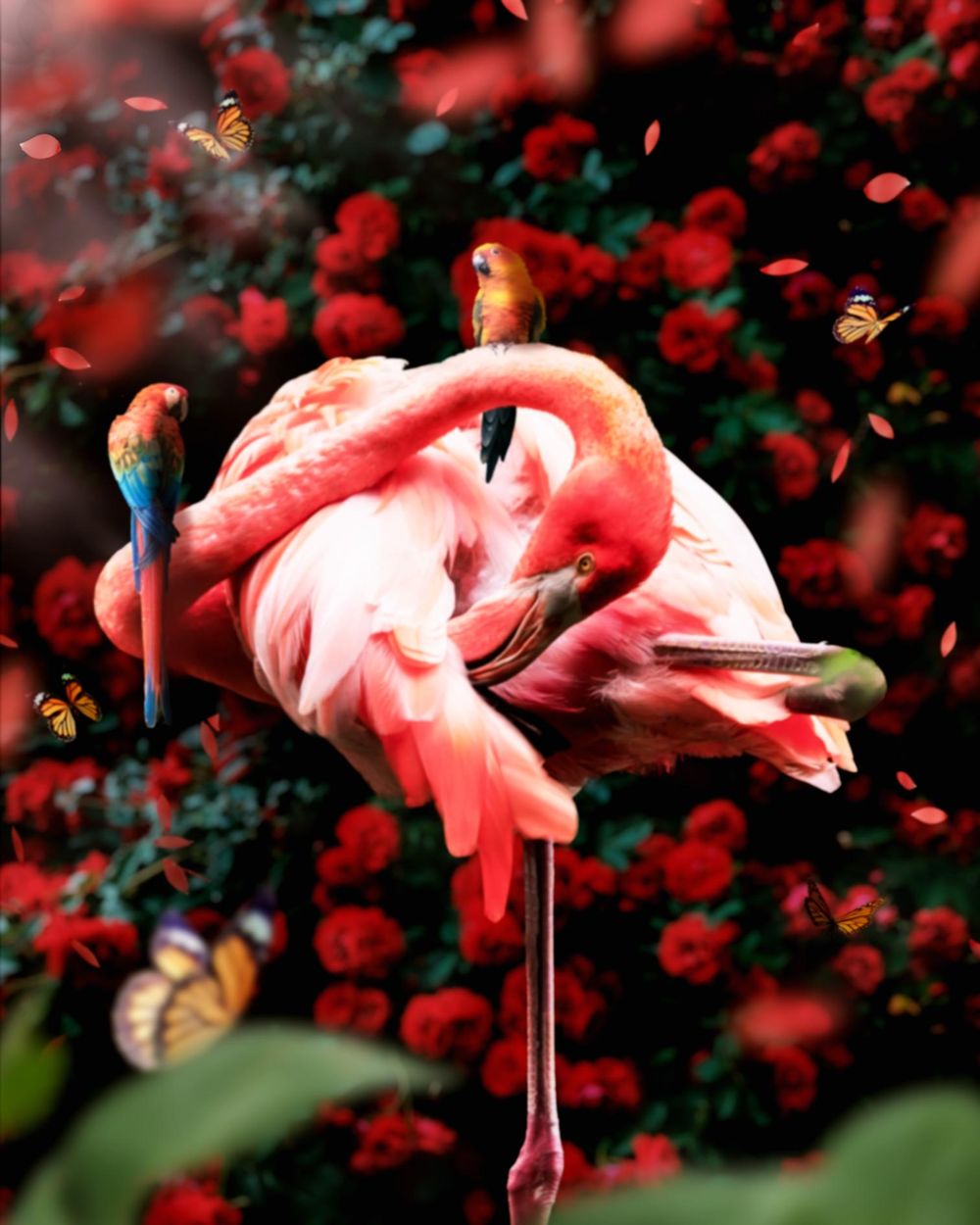 Flamingo Art - image 1 - student project