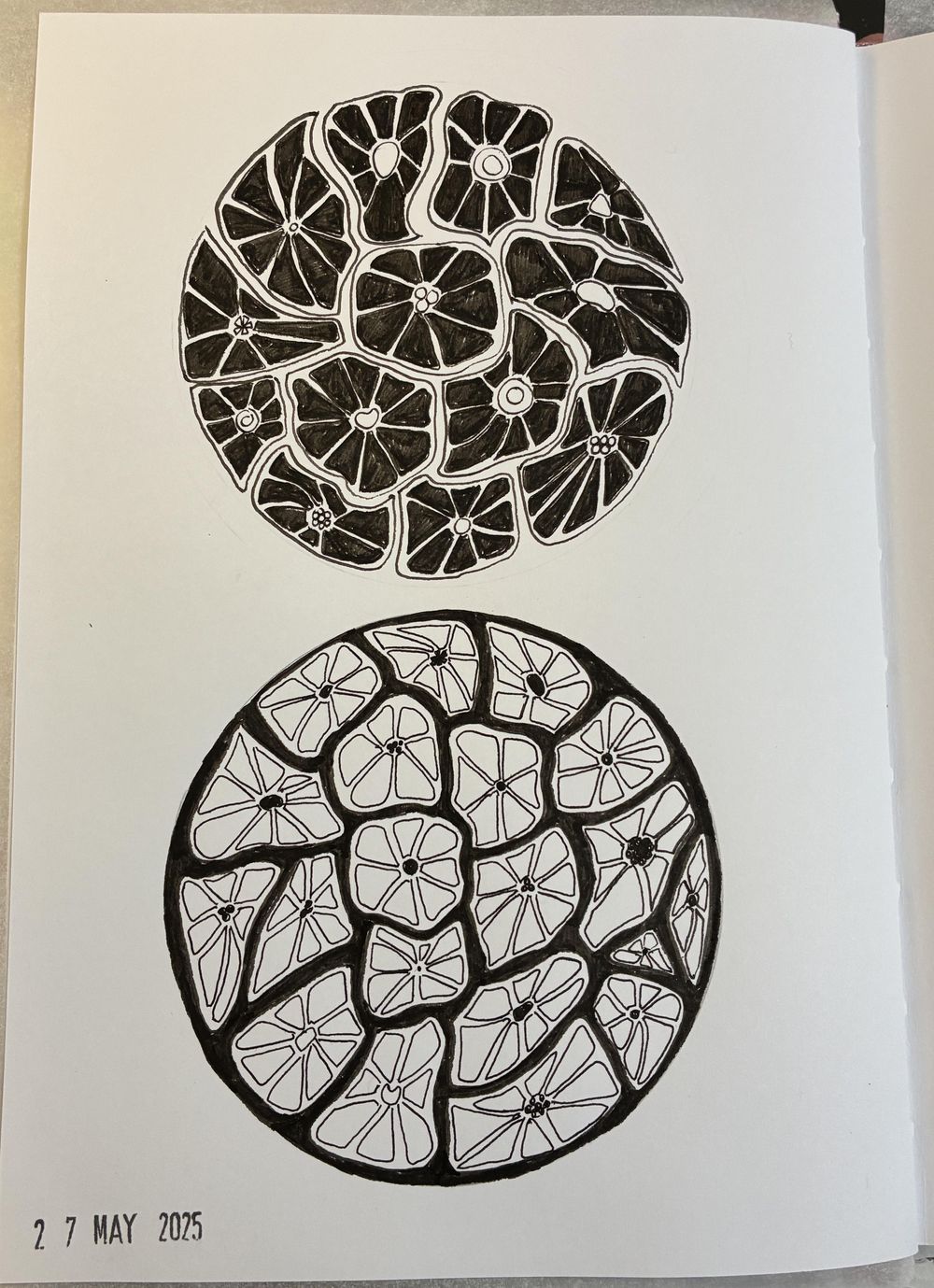Fantasy florals - image 1 - student project