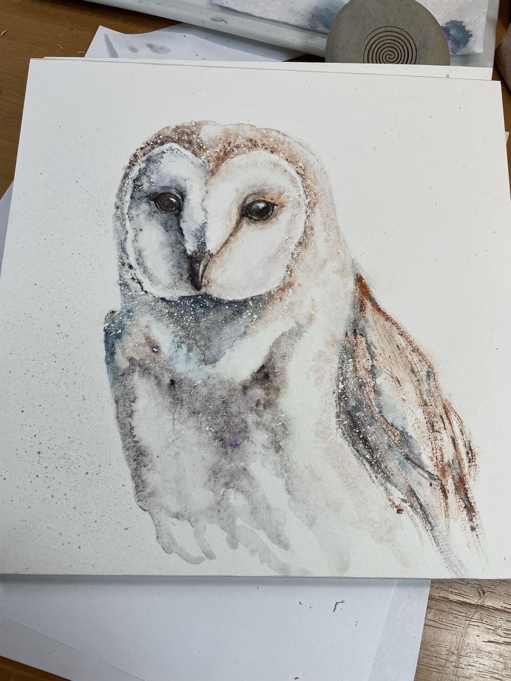 Barn owl - image 1 - student project