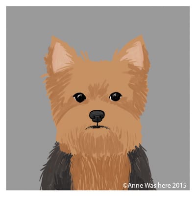 All About That Fluff - image 3 - student project