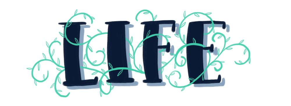 Sample Project: LIFE - image 2 - student project