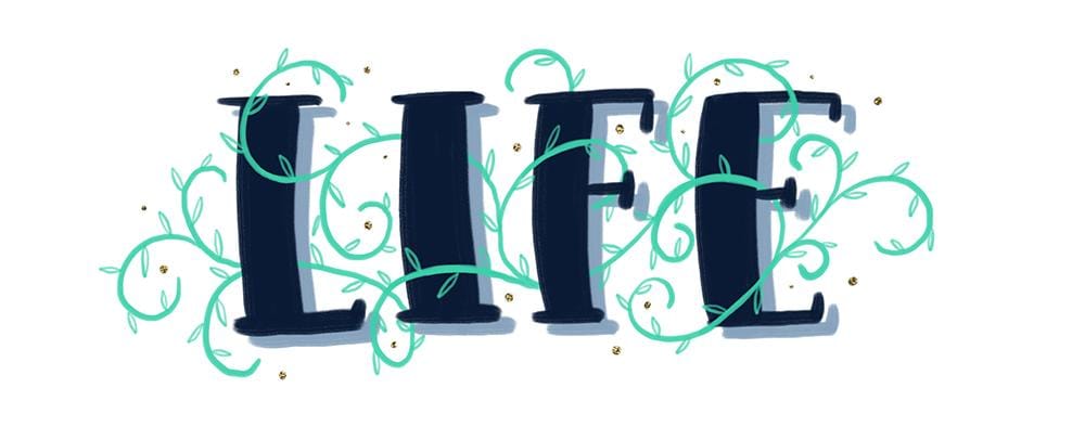 Sample Project: LIFE - image 3 - student project