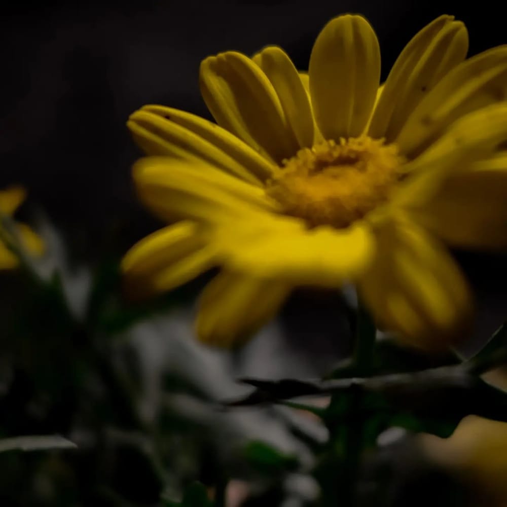 My first week ever - image 4 - student project