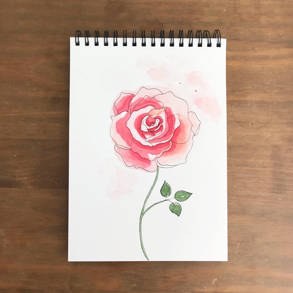 Roses, 3 ways - image 3 - student project