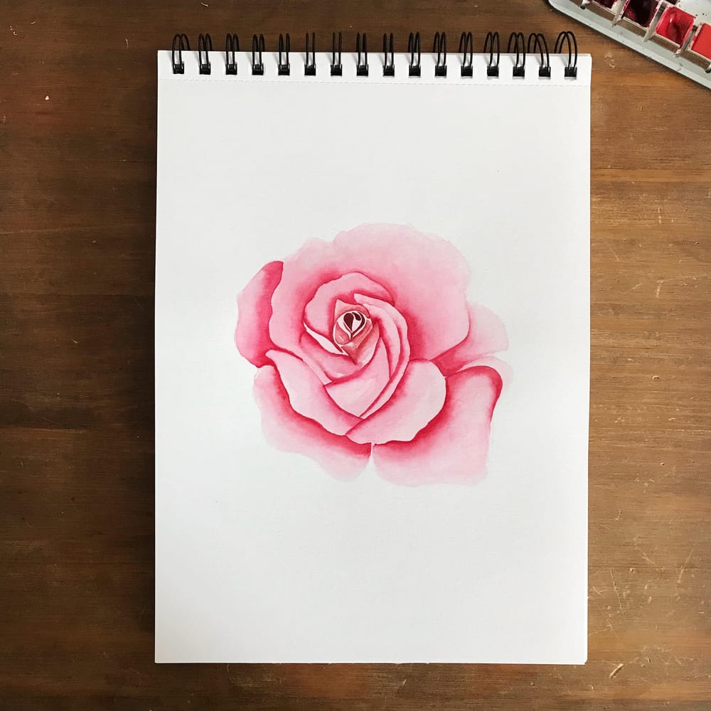 Roses, 3 ways - image 1 - student project