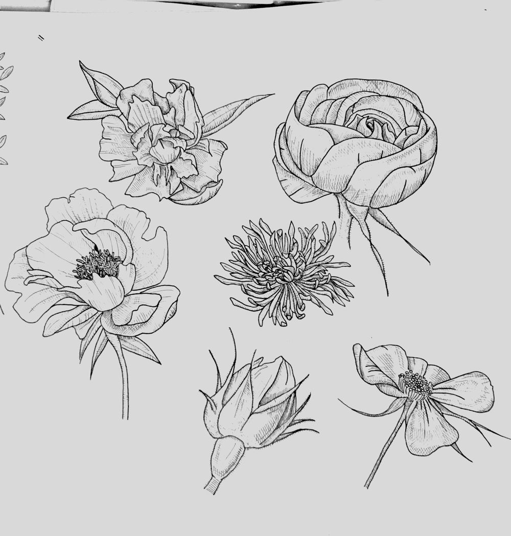 Floral Illustration in Photoshop - image 1 - student project