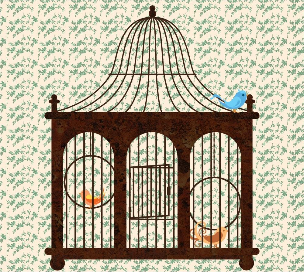 Vintage Birdcage Skillshare Student Project
