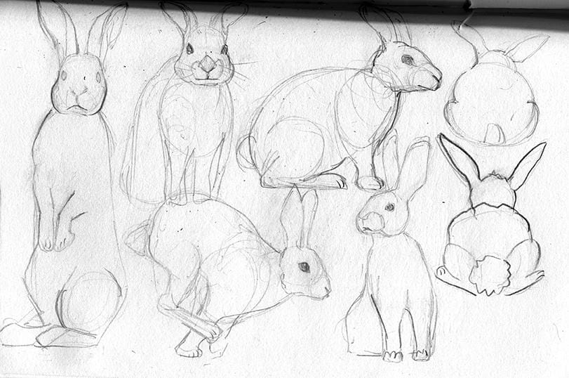 Toy Bunny wants to be Real - image 1 - student project