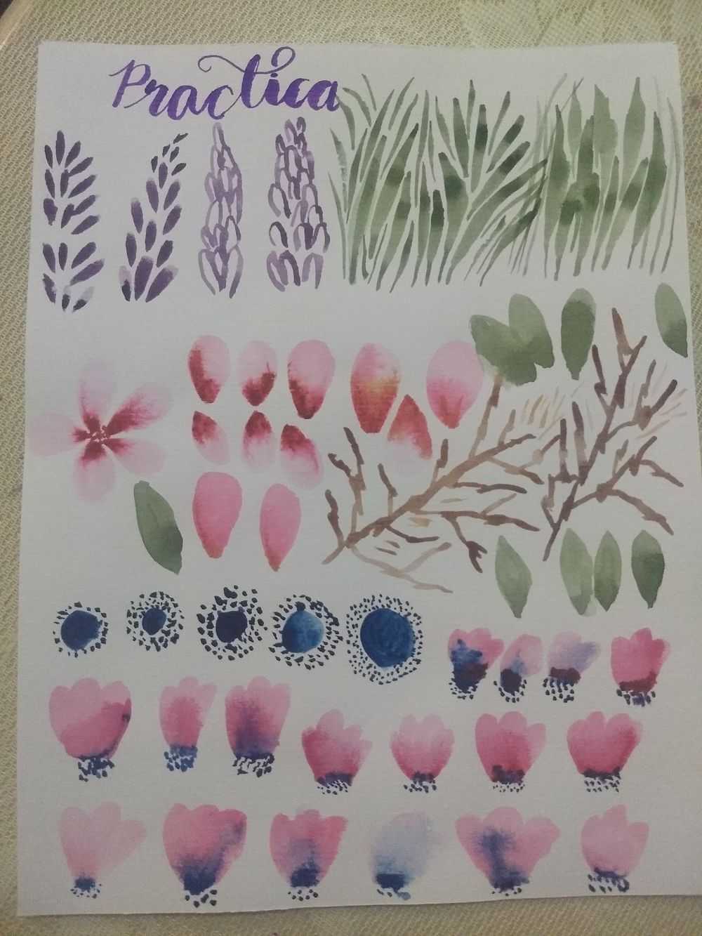 Postal de Hibíscus - image 8 - student project