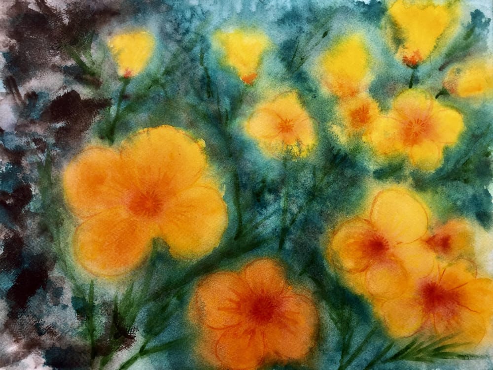 Californian poppies - image 3 - student project