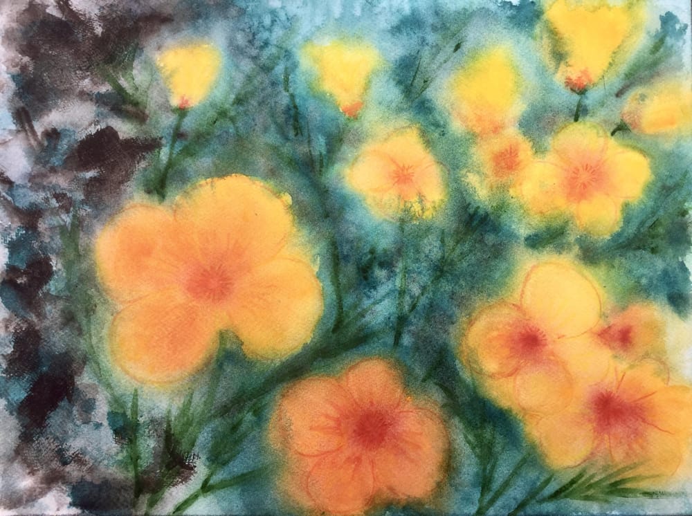 Californian poppies - image 2 - student project