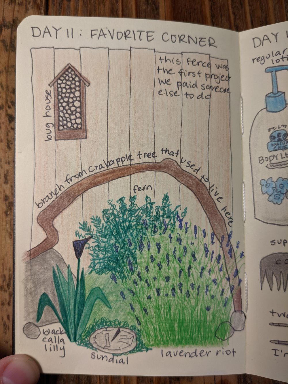 tessa (illustrated journaling 14-day) - image 11 - student project