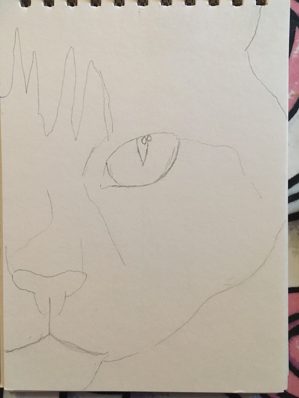 Kitten - image 1 - student project