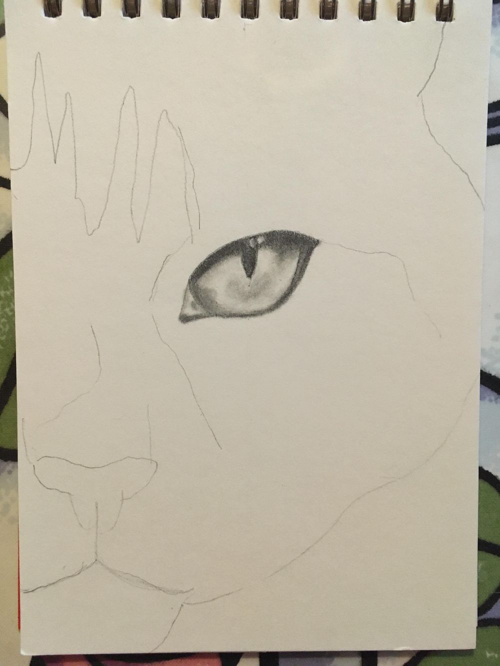 Kitten - image 2 - student project