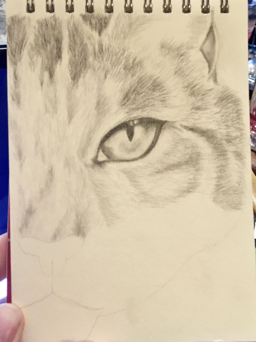 Kitten - image 3 - student project