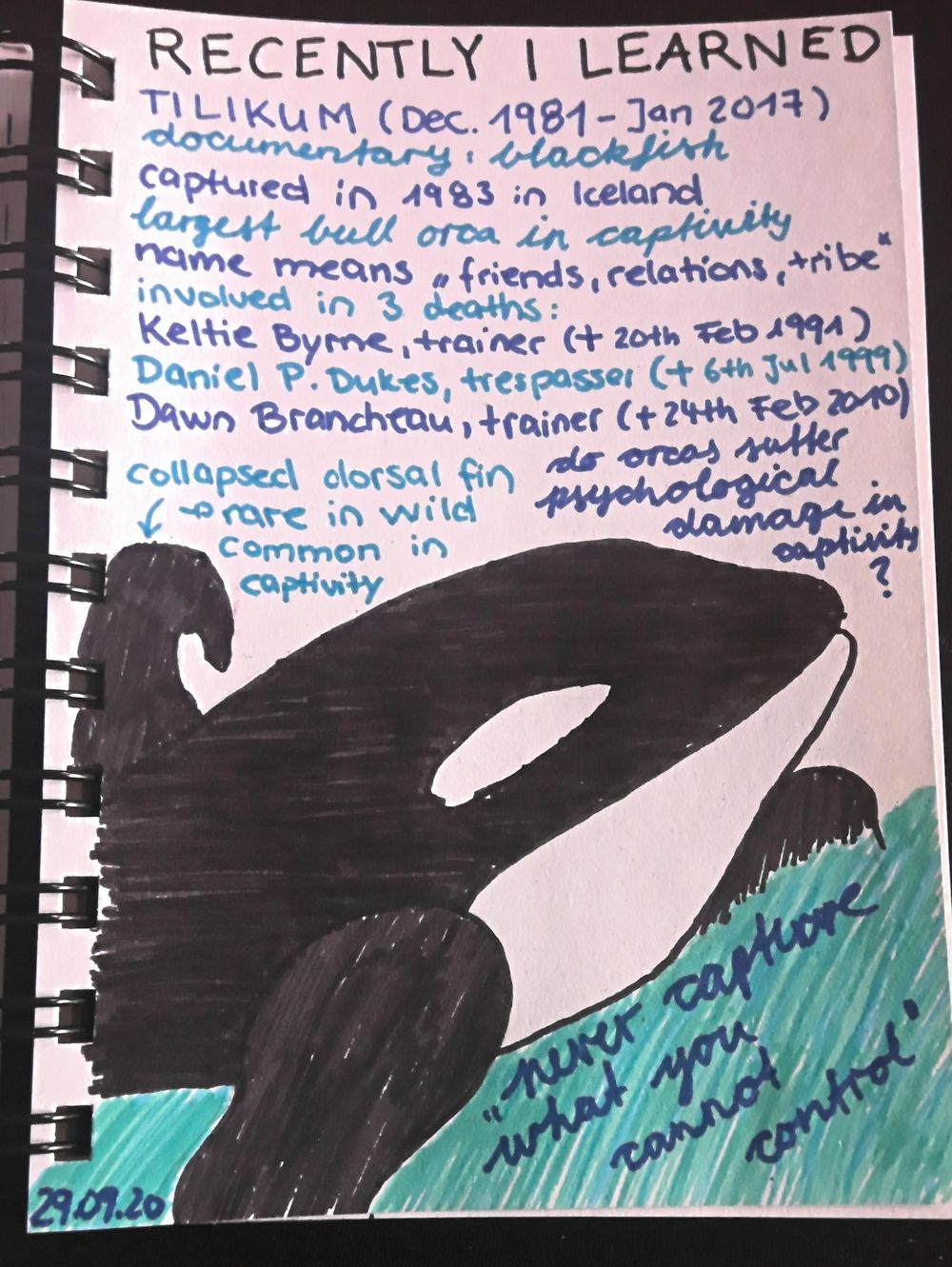 Illustrated Journaling - image 2 - student project