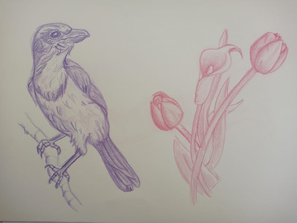 Three practices - image 1 - student project
