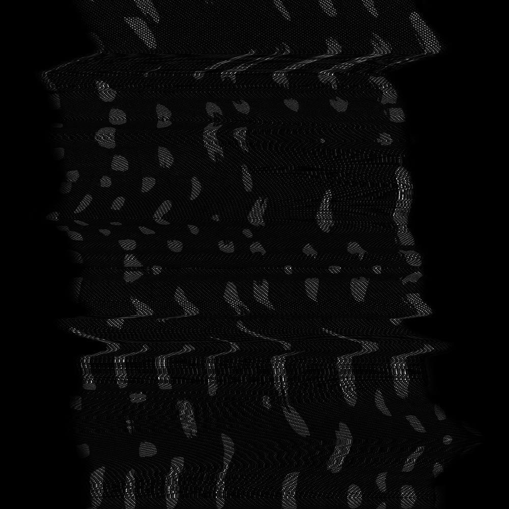 Experimental Image-Making: Creating Striking Images with Scanner Glitch Distortions - image 3 - student project