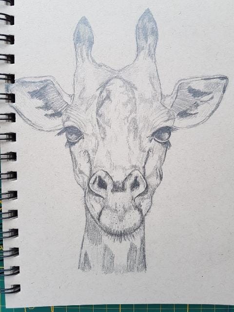 Keeping It Simple - image 2 - student project