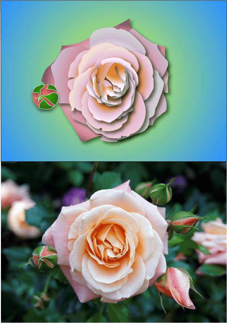 Underground Lake + A rose - image 2 - student project