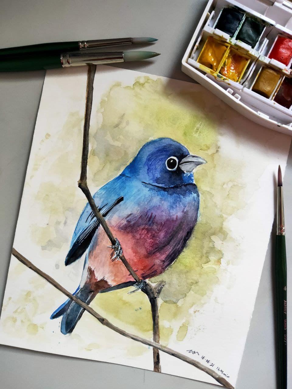 Bird and dolphin :) - image 2 - student project