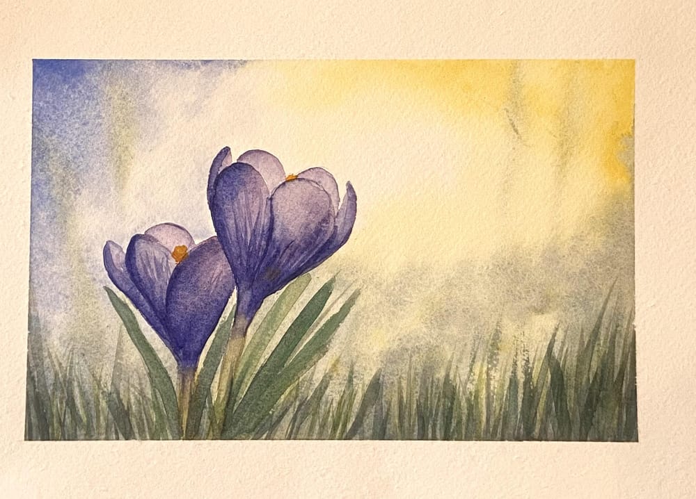 Krokussen aquarel - image 2 - student project