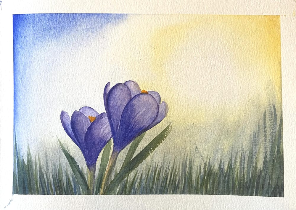 Krokussen aquarel - image 1 - student project