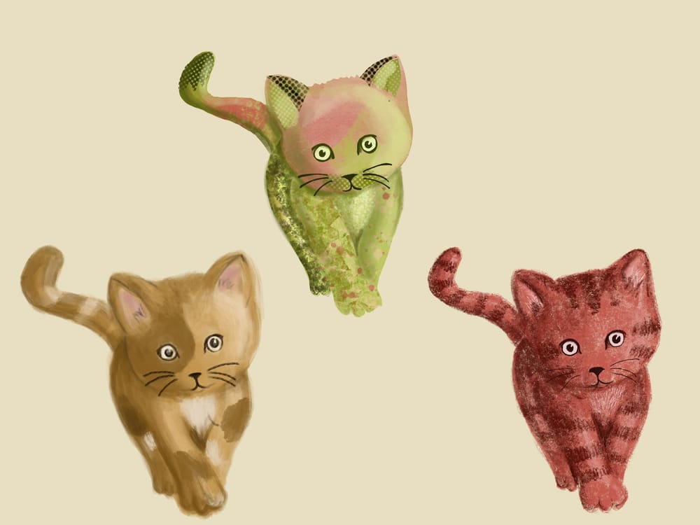 cats - image 1 - student project