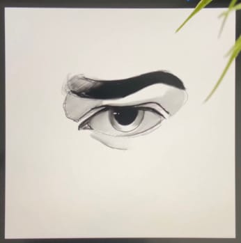 Drawing Realistic and Semi-Realistic Eyes Project - image 3 - student project