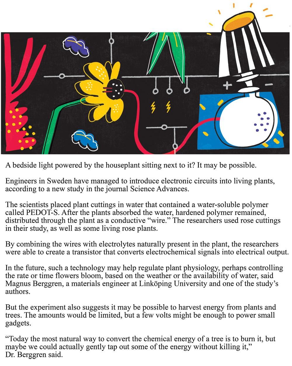 All Three Articles - image 3 - student project