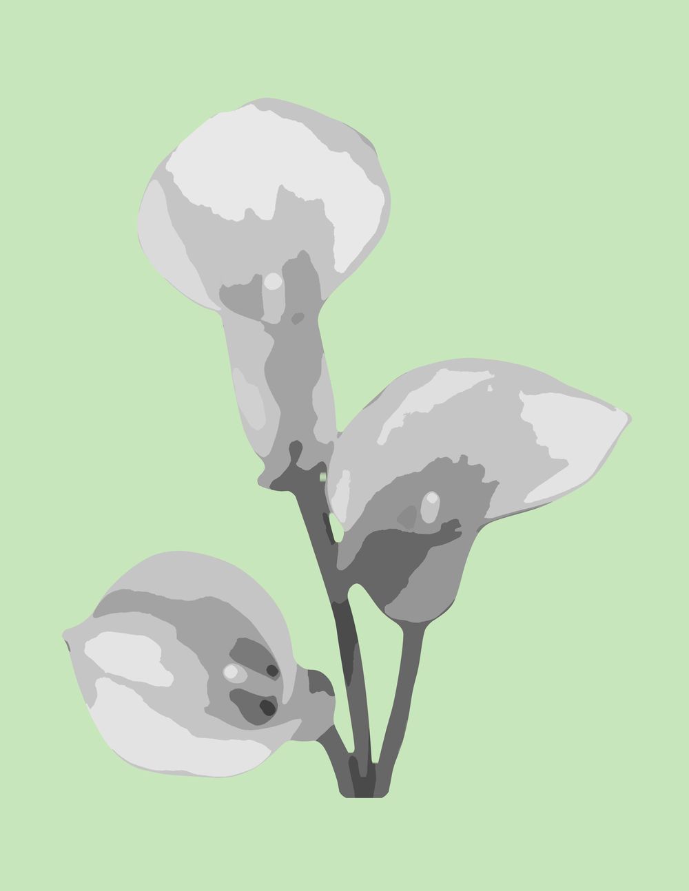 3 lilies - image 3 - student project