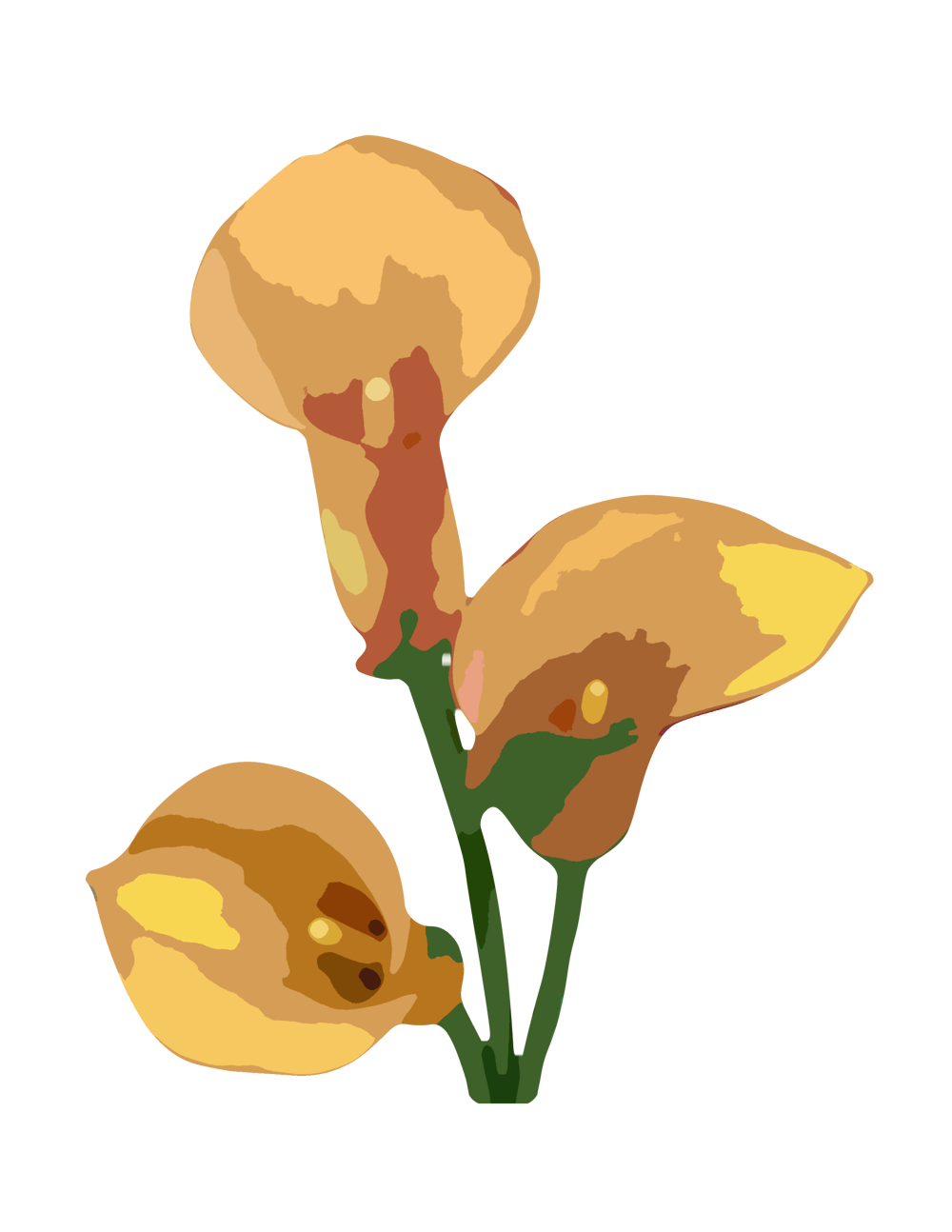 3 lilies - image 2 - student project