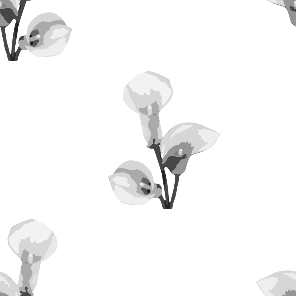 3 lilies - image 4 - student project
