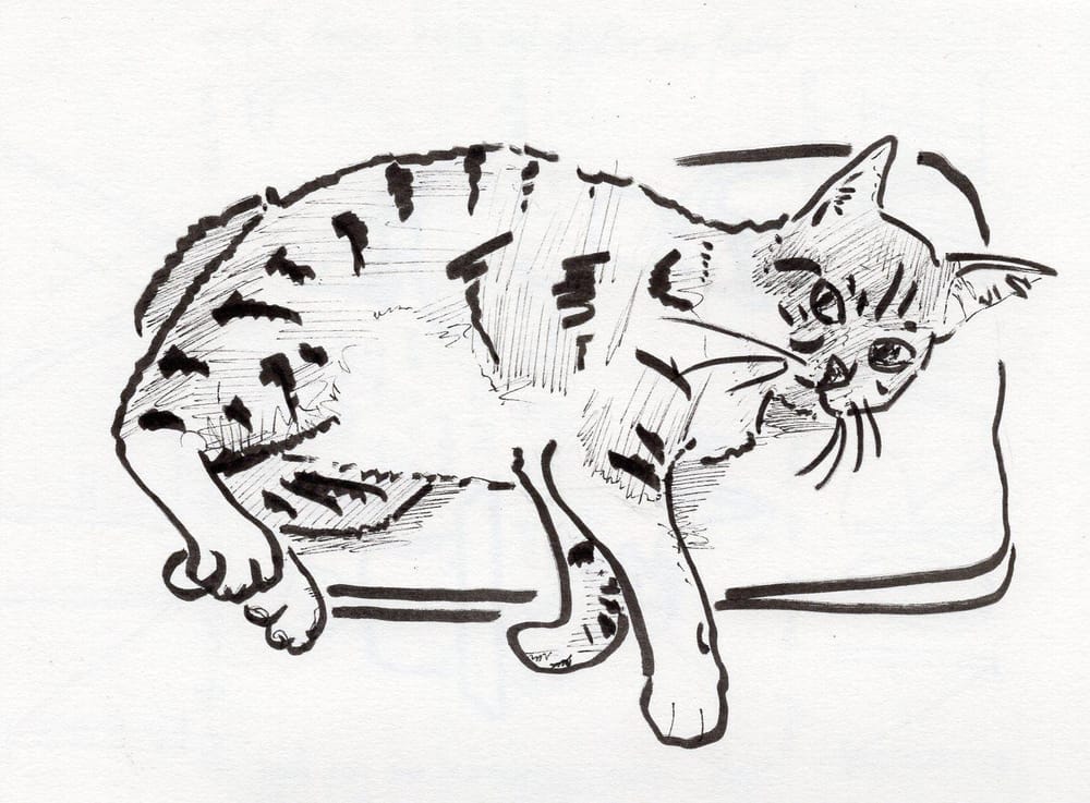 Fun with cats, ink & watercolor - image 1 - student project