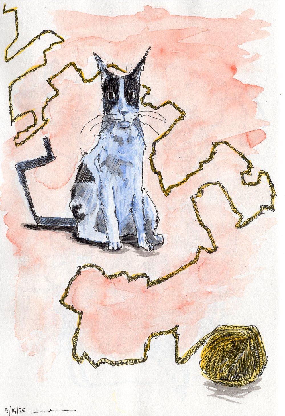 Fun with cats, ink & watercolor - image 3 - student project