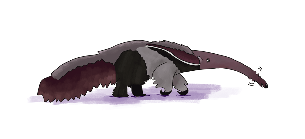 The Giant Ant-eater - image 1 - student project