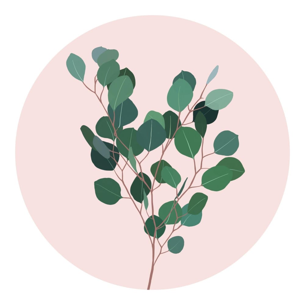 Intro to gouache - botanicals projects - image 2 - student project