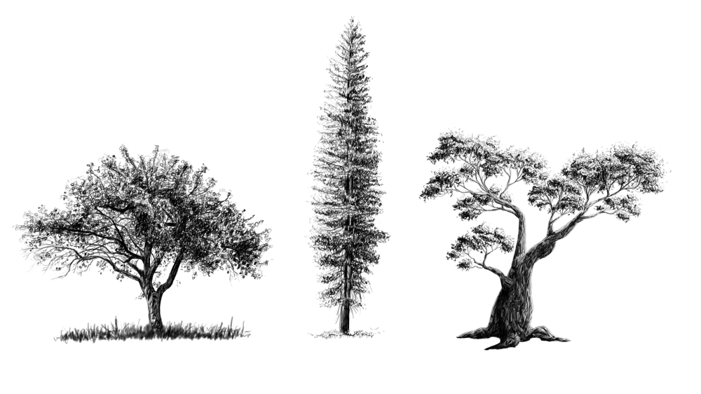 Example Class Project - image 1 - student project