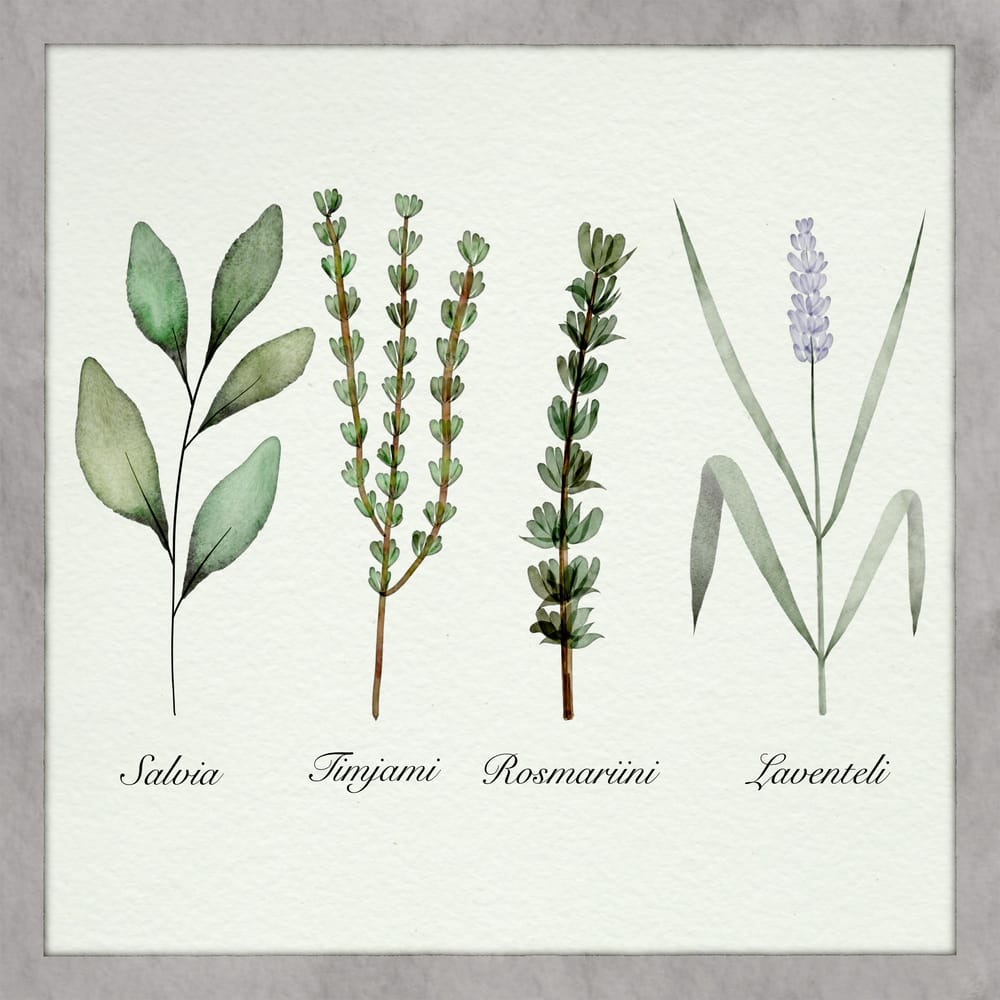 Botanicals with Brenda Bakker - image 2 - student project
