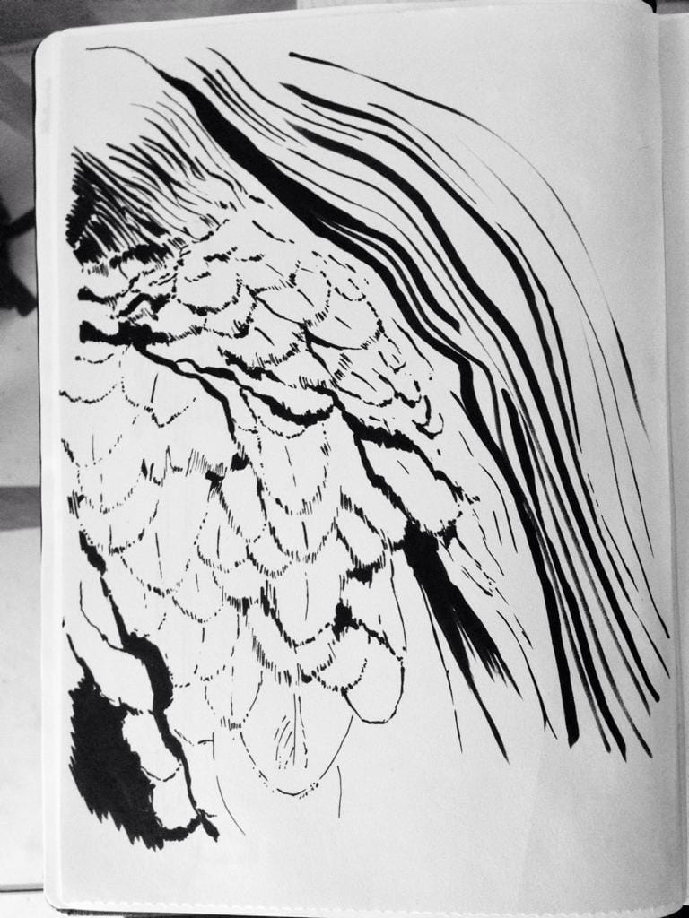 Playing with a brush pen - image 1 - student project