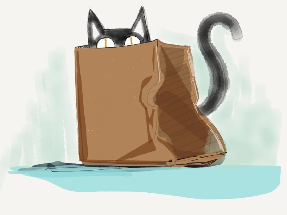 Let the cat out the bag - image 2 - student project